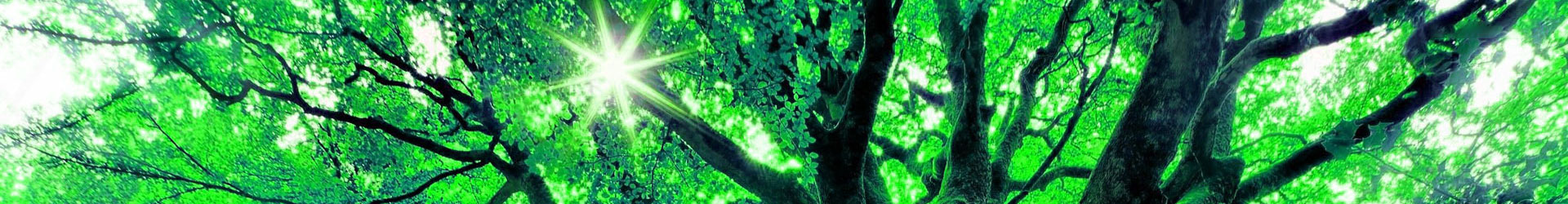 EVO真人(中文)官网